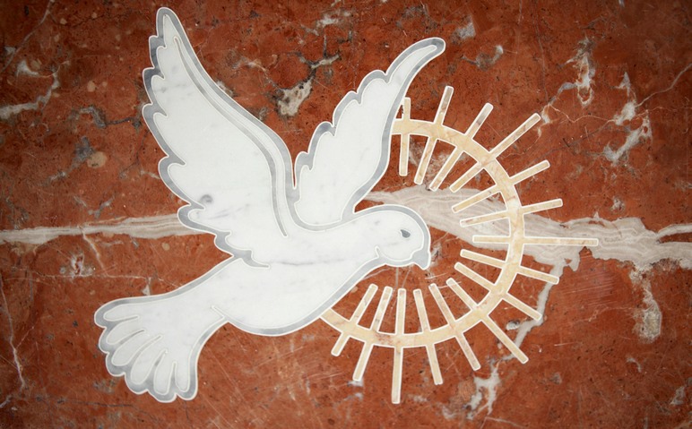 specialist in church interior work dublin